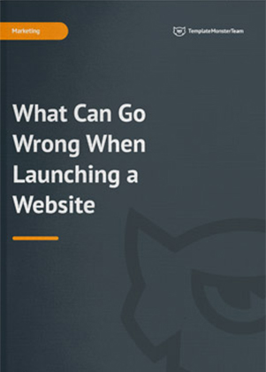 What Can Go When Launching a Website